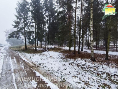 Działka budowlana - Kuranów  -
Mazowieckie Zdjęcie nr 8