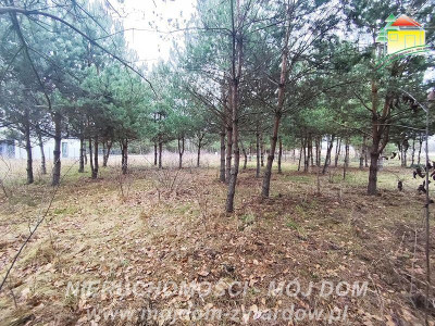 Działka uzbrojona blisko Radziejowic - Zboiska  - Mazowieckie