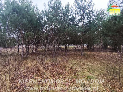 Działka uzbrojona blisko Radziejowic - Zboiska  -
Mazowieckie Zdjęcie nr 2