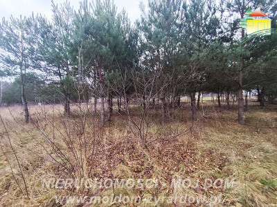 Działka uzbrojona blisko Radziejowic - Zboiska  -
Mazowieckie Zdjęcie nr 3