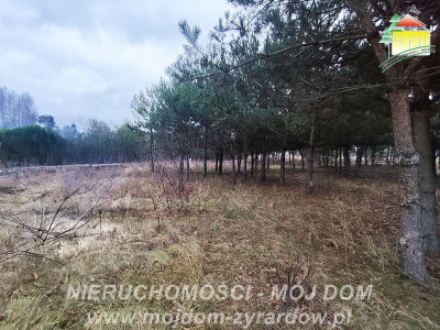 Działka uzbrojona blisko Radziejowic - Zboiska  -
Mazowieckie Zdjęcie nr 7