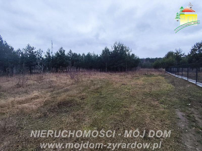 Działka uzbrojona blisko Radziejowic - Zboiska  -
Mazowieckie Zdjęcie nr 8