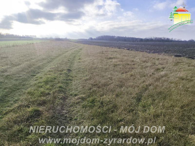 Duża działka rolna ok 20700 m2 Stary Łajszczew - Stary Łajszczew  -
Mazowieckie Zdjęcie nr 2