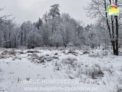 Ładna działka budowlana możliwy podział - Żyrardów  -
Mazowieckie Zdjęcie nr 5