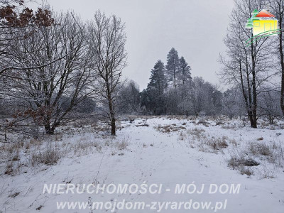 Nieduża działka budowlana w spokojnej lokalizacji - Żyrardów  - Mazowieckie