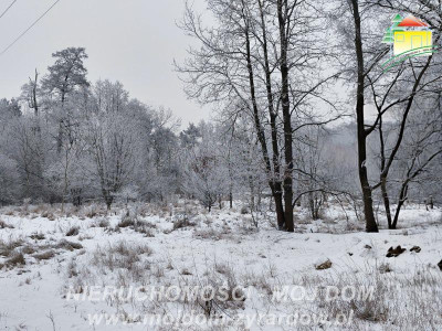 Nieduża działka budowlana w spokojnej lokalizacji - Żyrardów  -
Mazowieckie Zdjęcie nr 4