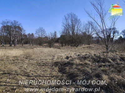 Duża działka budowlana blisko Osiedla Żeromskiego - Żyrardów  - Mazowieckie
