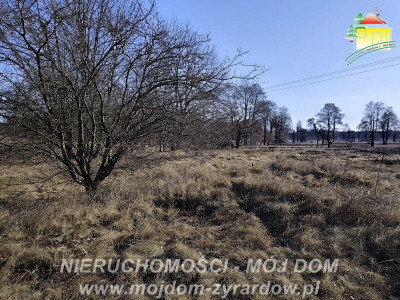 Duża działka budowlana blisko Osiedla Żeromskiego - Żyrardów  -
Mazowieckie Zdjęcie nr 2
