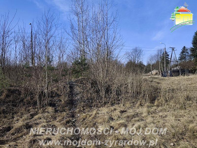 Duża działka budowlana blisko Osiedla Żeromskiego - Żyrardów  -
Mazowieckie Zdjęcie nr 3