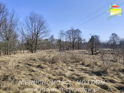 Duża działka budowlana blisko Osiedla Żeromskiego - Żyrardów  -
Mazowieckie Zdjęcie nr 4