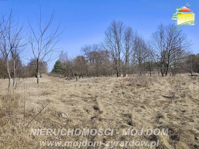 Duża działka budowlana blisko Osiedla Żeromskiego - Żyrardów  -
Mazowieckie Zdjęcie nr 6