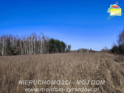 Ładna duża działa Długokąty - Długokąty  -
Mazowieckie Zdjęcie nr 4