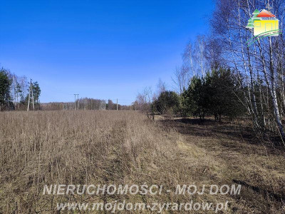 Ładna duża działa Długokąty - Długokąty  -
Mazowieckie Zdjęcie nr 5