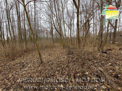 Duża działka 2 ha blisko Wiskitek - Starowiskitki  -
Mazowieckie Zdjęcie nr 2