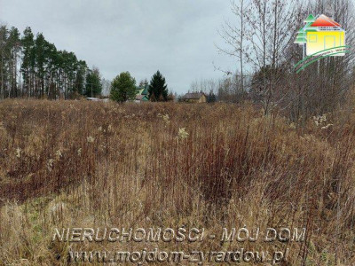 Ładna działka budowlana wszystkie media - Jaktorów  -
Mazowieckie Zdjęcie nr 4