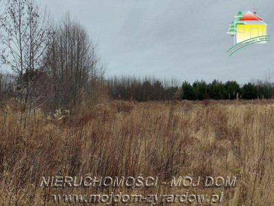 Dzialka budowlana wszystkie media - Jaktorów  -
Mazowieckie Zdjęcie nr 2