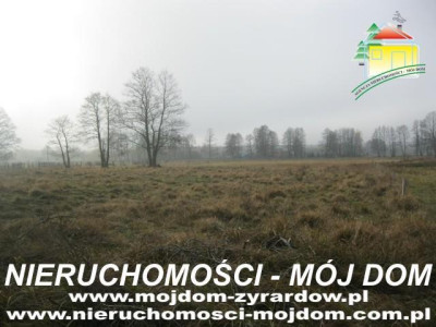 Działka rolno-budowlana - Sokule  -
Mazowieckie Zdjęcie nr 2