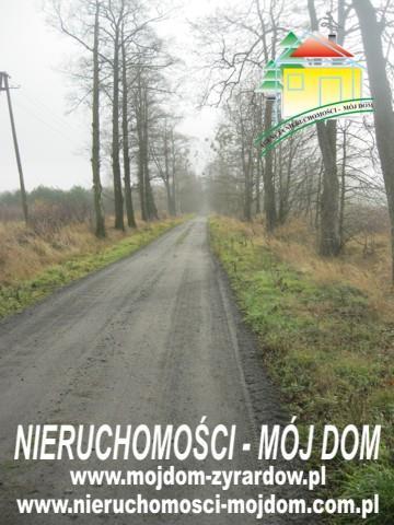 Działka rolno-budowlana - Sokule  -
Mazowieckie Zdjęcie nr 3