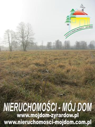 Działka rolno-budowlana - Sokule  -
Mazowieckie Zdjęcie nr 4