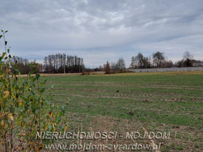 Ładna duża działka budowlana w okolicy Henryszewa - Henryszew  -
Mazowieckie Zdjęcie nr 2
