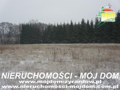 Działka mieszkaniowo - usługowa Adamowice - Adamowice  -
Mazowieckie Zdjęcie nr 2