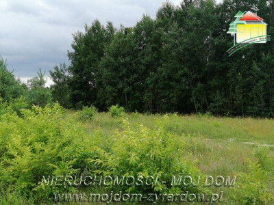 Działka budowlana - Sokule  -
Mazowieckie Zdjęcie nr 4