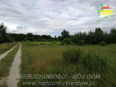Działka budowlana - Sokule  -
Mazowieckie Zdjęcie nr 5