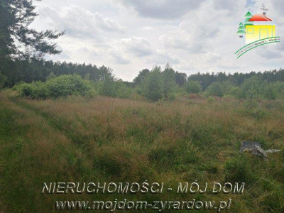 Działka budowlana - Tomaszew  -
Mazowieckie Zdjęcie nr 2