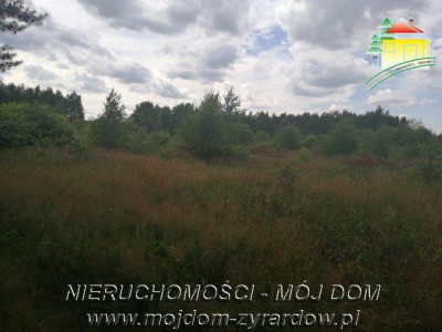 Działka budowlana - Tomaszew  -
Mazowieckie Zdjęcie nr 3