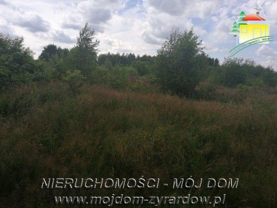 Działka budowlana - Tomaszew  -
Mazowieckie Zdjęcie nr 4