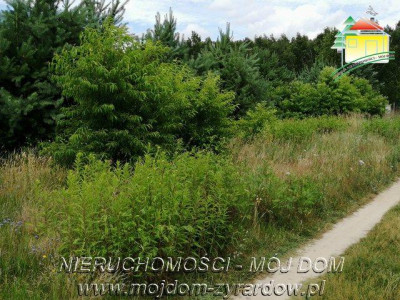 Działka budowlana - Sokule  -
Mazowieckie Zdjęcie nr 2