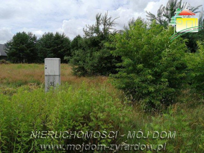 Działka budowlana - Sokule  -
Mazowieckie Zdjęcie nr 3