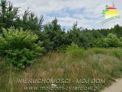Działka budowlana - Sokule  -
Mazowieckie Zdjęcie nr 4