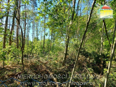 Działka budowlana w okolicy Międzyborowa - Międzyborów  -
Mazowieckie Zdjęcie nr 2