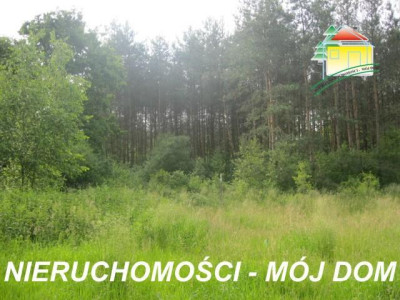 Działka rolno-budowlana - Popielarnia  -
Mazowieckie Zdjęcie nr 2