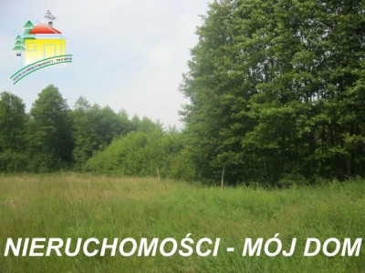 Działka rolno-budowlana - Popielarnia  -
Mazowieckie Zdjęcie nr 3