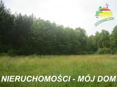 Działka rolno-budowlana - Popielarnia  -
Mazowieckie Zdjęcie nr 4