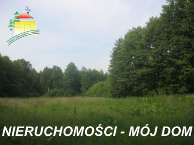 Działka rolno-budowlana - Popielarnia  -
Mazowieckie Zdjęcie nr 5