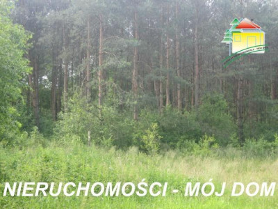 Działka rolno-budowlana - Popielarnia  -
Mazowieckie Zdjęcie nr 7