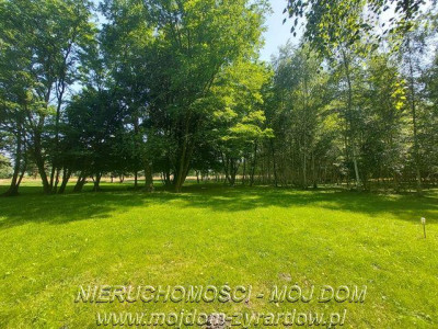 Działka rolna 25 ha - Wola Szydłowiecka  -
Łódzkie Zdjęcie nr 2