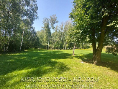 Działka rolna 25 ha - Wola Szydłowiecka  -
Łódzkie Zdjęcie nr 3