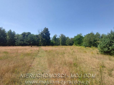 Działka rolna 25 ha - Wola Szydłowiecka  -
Łódzkie Zdjęcie nr 5