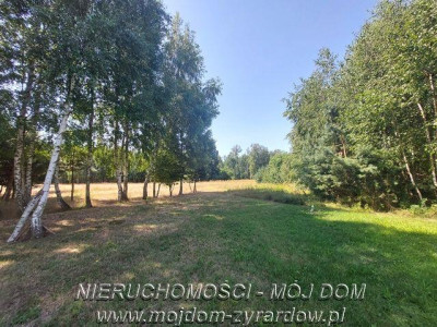 Działka rolna 25 ha - Wola Szydłowiecka  -
Łódzkie Zdjęcie nr 6