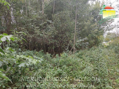 Polecamy działkę w Staruch Budach  - Stare Budy  -
Mazowieckie Zdjęcie nr 3
