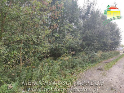 Polecamy działkę w Staruch Budach  - Stare Budy  -
Mazowieckie Zdjęcie nr 4