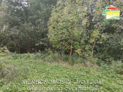 Polecamy działkę w Staruch Budach  - Stare Budy  -
Mazowieckie Zdjęcie nr 5