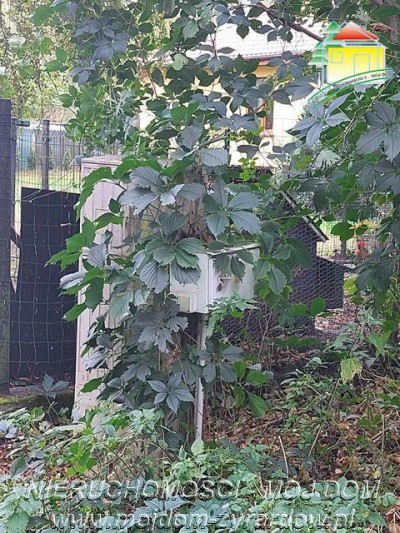 Polecamy działkę w Staruch Budach  - Stare Budy  -
Mazowieckie Zdjęcie nr 6