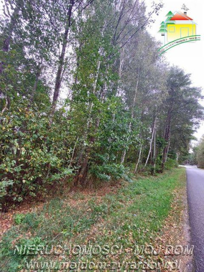 Polecamy działkę w Staruch Budach  - Stare Budy  -
Mazowieckie Zdjęcie nr 7