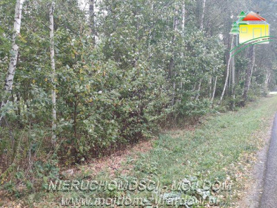 Polecamy działkę w Staruch Budach  - Stare Budy  -
Mazowieckie Zdjęcie nr 8