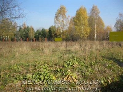 Działka budowlana ok 1300 m2 Zboiska - Zboiska  -
Mazowieckie Zdjęcie nr 3